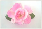 画像1: Classical Rose pink (1)